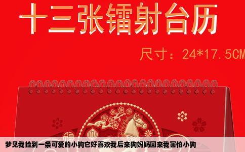 梦见我捡到一条可爱的小狗它好喜欢我后来狗妈妈回来我害怕小狗