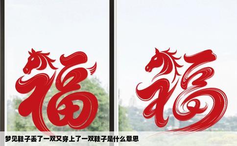 梦见鞋子丢了一双又穿上了一双鞋子是什么意思