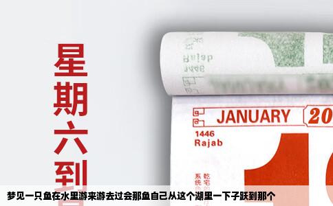 梦见一只鱼在水里游来游去过会那鱼自己从这个湖里一下子跃到那个