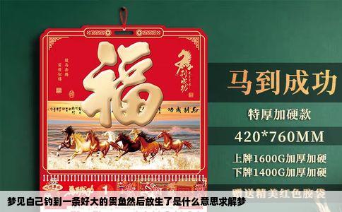 梦见自己钓到一条好大的贵鱼然后放生了是什么意思求解梦