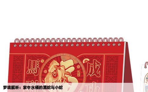 梦境解析：家中水桶的黑蛇与小蛇