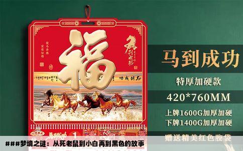 ###梦境之谜：从死老鼠到小白再到黑色的故事