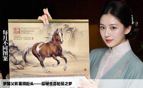 梦醒父影重现街头——探秘生命轮回之梦