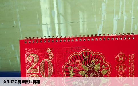 女生梦见有老鼠也有猫