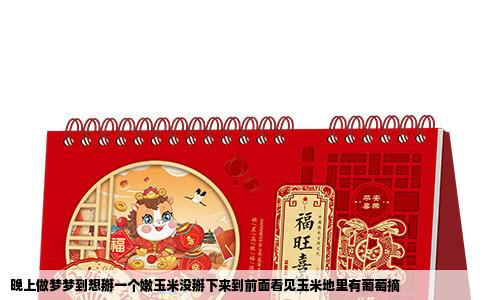 晚上做梦梦到想掰一个嫩玉米没掰下来到前面看见玉米地里有葡萄摘