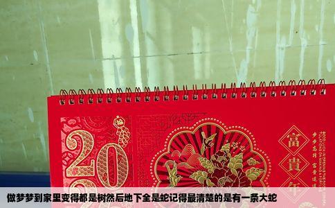 做梦梦到家里变得都是树然后地下全是蛇记得最清楚的是有一条大蛇