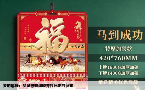 梦的解析：梦见被蛇追咬并打死蛇的征兆