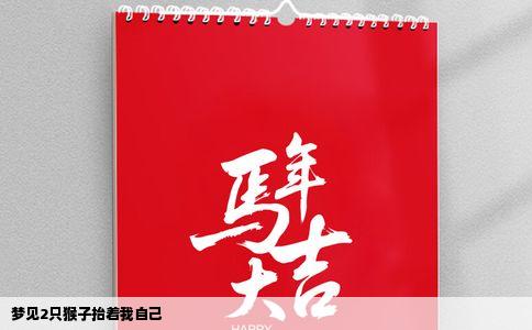 梦见2只猴子抬着我自己