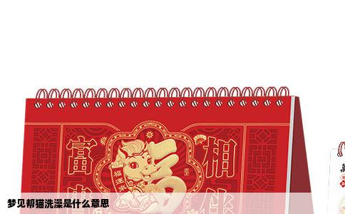 梦见帮猫洗澡是什么意思