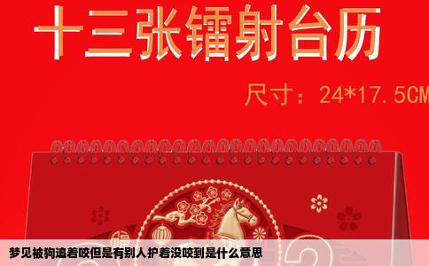 梦见被狗追着咬但是有别人护着没咬到是什么意思