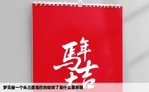 梦见被一个头三条尾巴的蛇咬了是什么意思啊