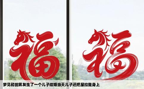 梦见和前男友生了一个儿子结婚当天儿子还把屎拉我身上