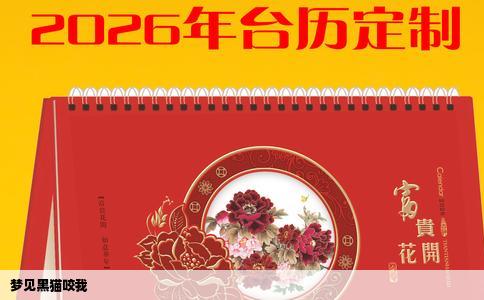 梦见黑猫咬我
