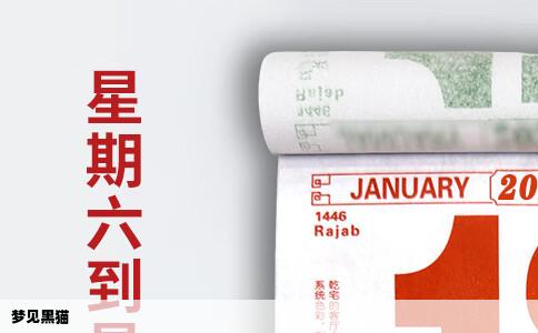 梦见黑猫
