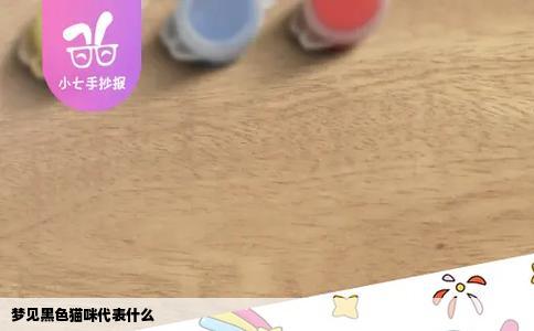 梦见黑色猫咪代表什么