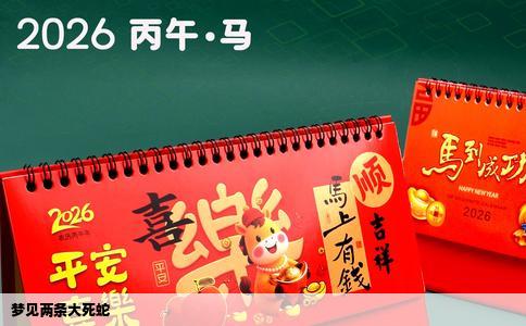 梦见两条大死蛇