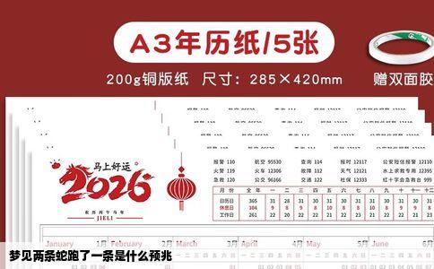 梦见两条蛇跑了一条是什么预兆