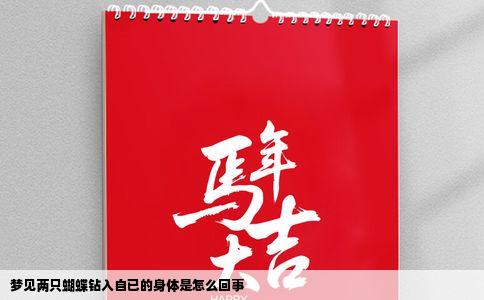 梦见两只蝴蝶钻入自已的身体是怎么回事