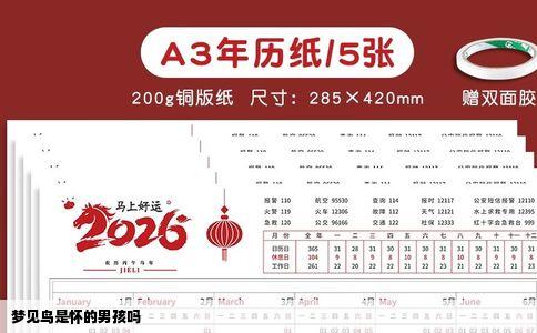 梦见鸟是怀的男孩吗