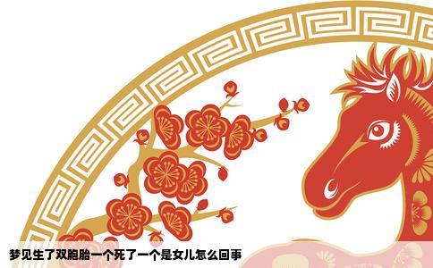 梦见生了双胞胎一个死了一个是女儿怎么回事
