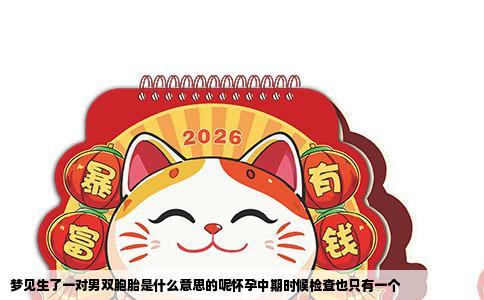 梦见生了一对男双胞胎是什么意思的呢怀孕中期时候检查也只有一个