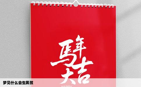 梦见什么会生男孩