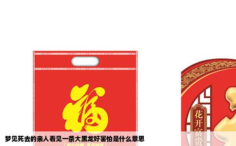 梦见死去的亲人看见一条大黑龙好害怕是什么意思