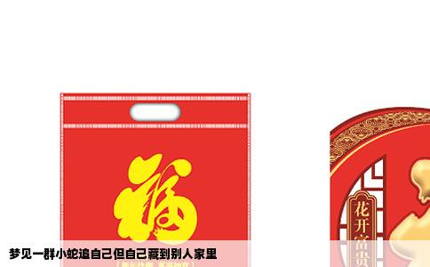 梦见一群小蛇追自己但自己藏到别人家里