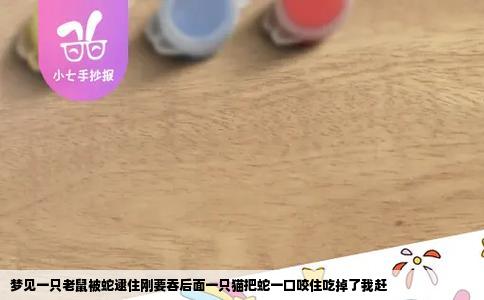 梦见一只老鼠被蛇逮住刚要吞后面一只猫把蛇一口咬住吃掉了我赶