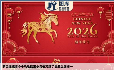 梦见捉抓俩个小乌龟后来小乌龟又跑了是怎么回事一