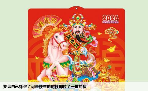 梦见自己怀孕了可是快生的时候却拉了一堆的屎