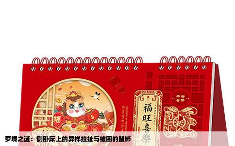 梦境之谜：侧卧床上的异样拉扯与被困的鼠影