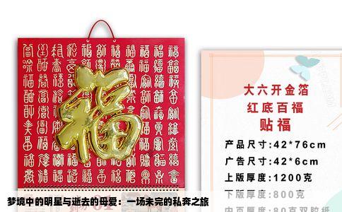 梦境中的明星与逝去的母爱：一场未完的私奔之旅