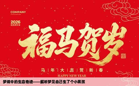 梦境中的生命奇迹——解析梦见自己生了个小男孩