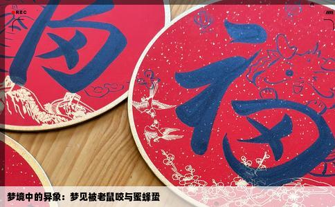 梦境中的异象：梦见被老鼠咬与蜜蜂蛰