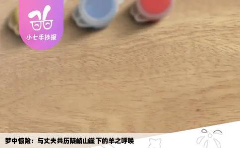 梦中惊险：与丈夫共历陡峭山崖下的羊之呼唤