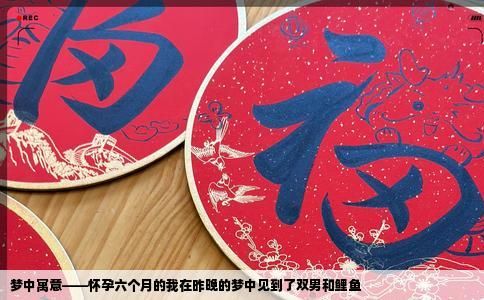 梦中寓意——怀孕六个月的我在昨晚的梦中见到了双男和鲤鱼