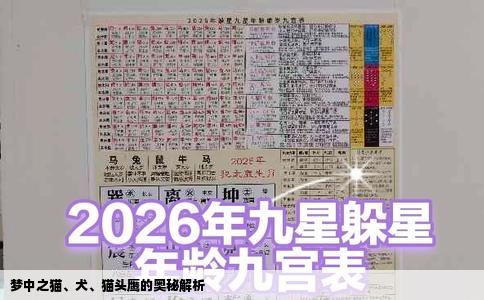 梦中之猫、犬、猫头鹰的奥秘解析