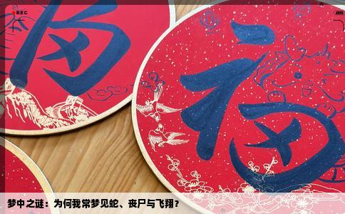 梦中之谜：为何我常梦见蛇、丧尸与飞翔？