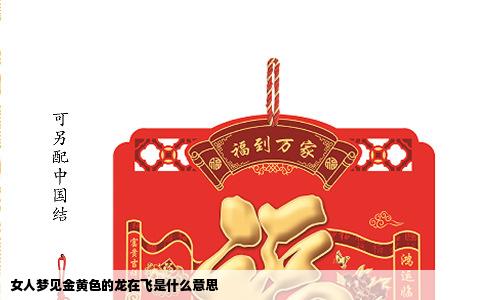 女人梦见金黄色的龙在飞是什么意思