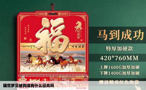 睡觉梦见被狗追有什么征兆吗