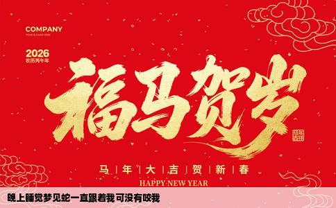 晚上睡觉梦见蛇一直跟着我可没有咬我