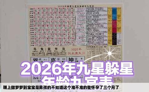 晚上做梦梦到宝宝是男孩的不知道这个准不准的我怀孕了三个月了