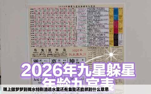 晚上做梦梦到摊水特别清透水里还有鱼我还能抓到什么意思