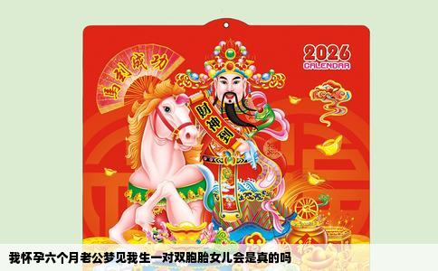 我怀孕六个月老公梦见我生一对双胞胎女儿会是真的吗