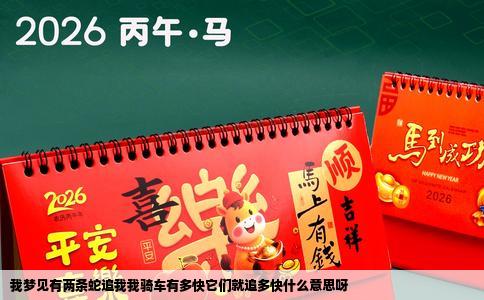 我梦见有两条蛇追我我骑车有多快它们就追多快什么意思呀