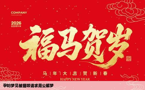 孕妇梦见被猫咬请求周公解梦