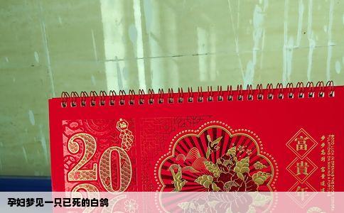 孕妇梦见一只已死的白鸽