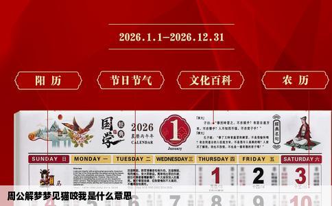 周公解梦梦见猫咬我是什么意思