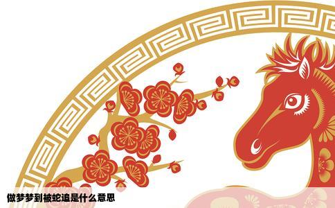 做梦梦到被蛇追是什么意思